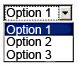 Options
